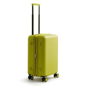 22" Adair Spinner-Lentil Sprout in Hardside Luggage