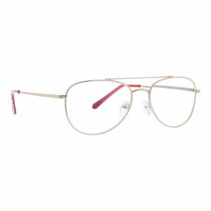 Edisto Blue Lighter Reader-Flourishing garden silhouette